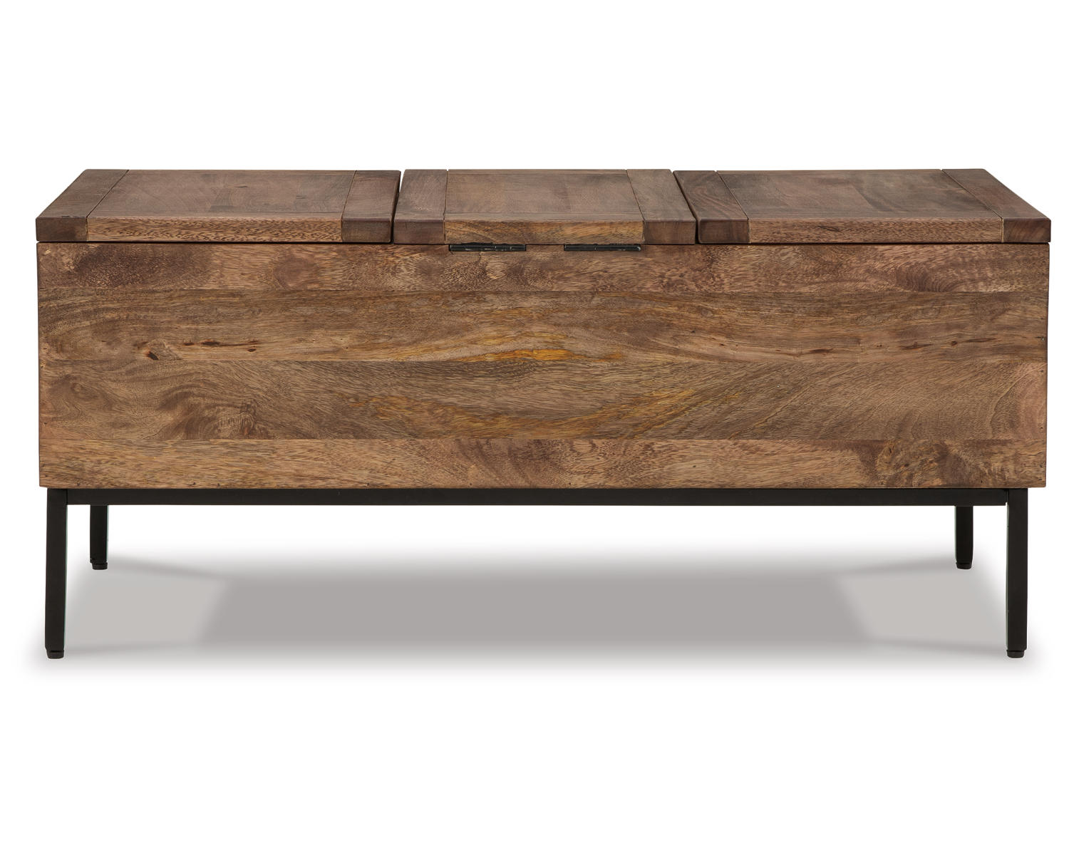Braddick Storage Trunk