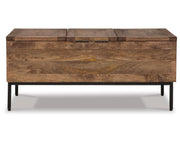 Braddick Storage Trunk