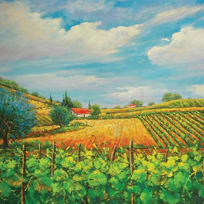 Verano en Napa