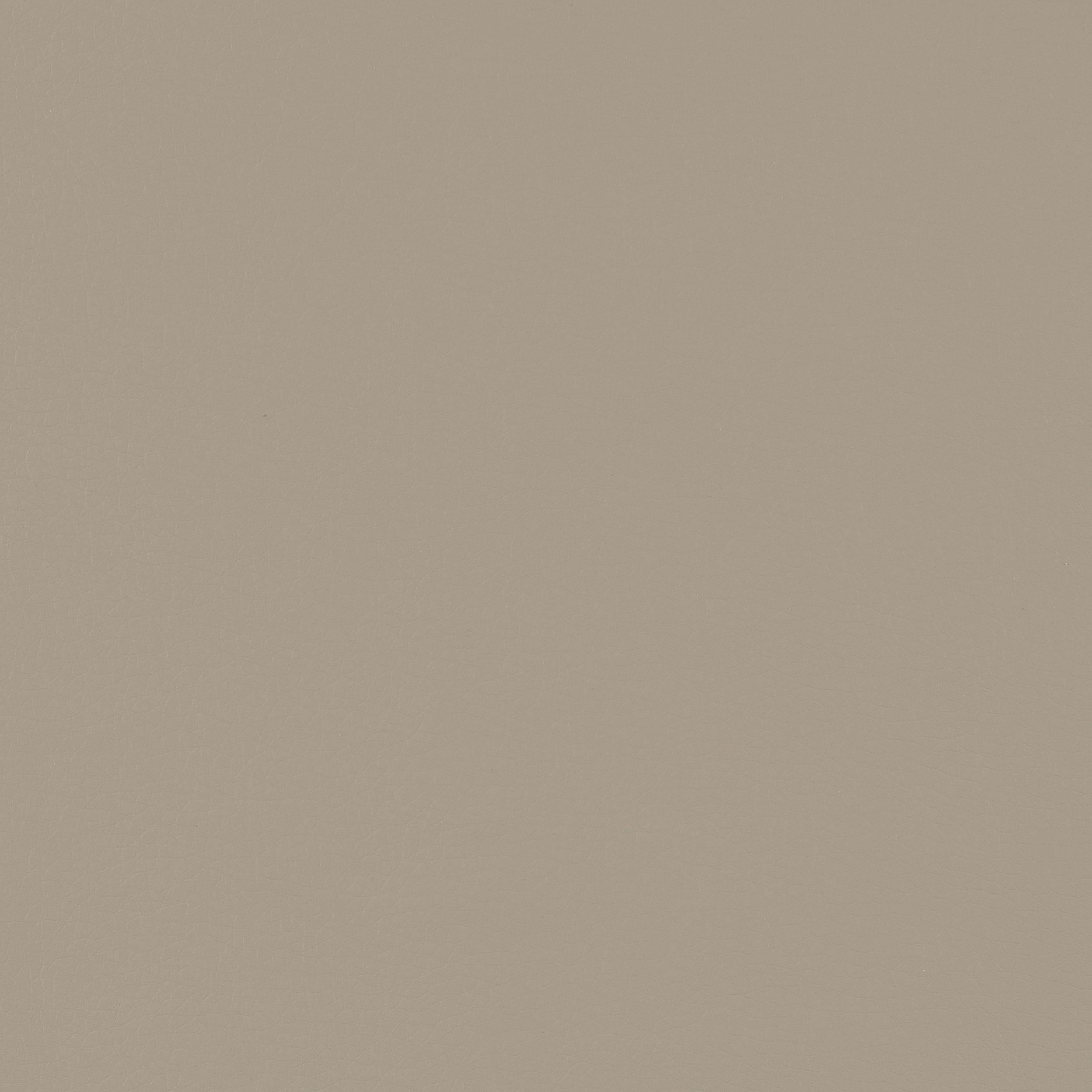 Caballo Polypropylene Dining Side Chair Tan (Set of 2)