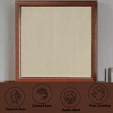 Louis Philippe III Mirror