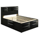 Cama Queen con librería y almacenaje Briana Wood, color negro