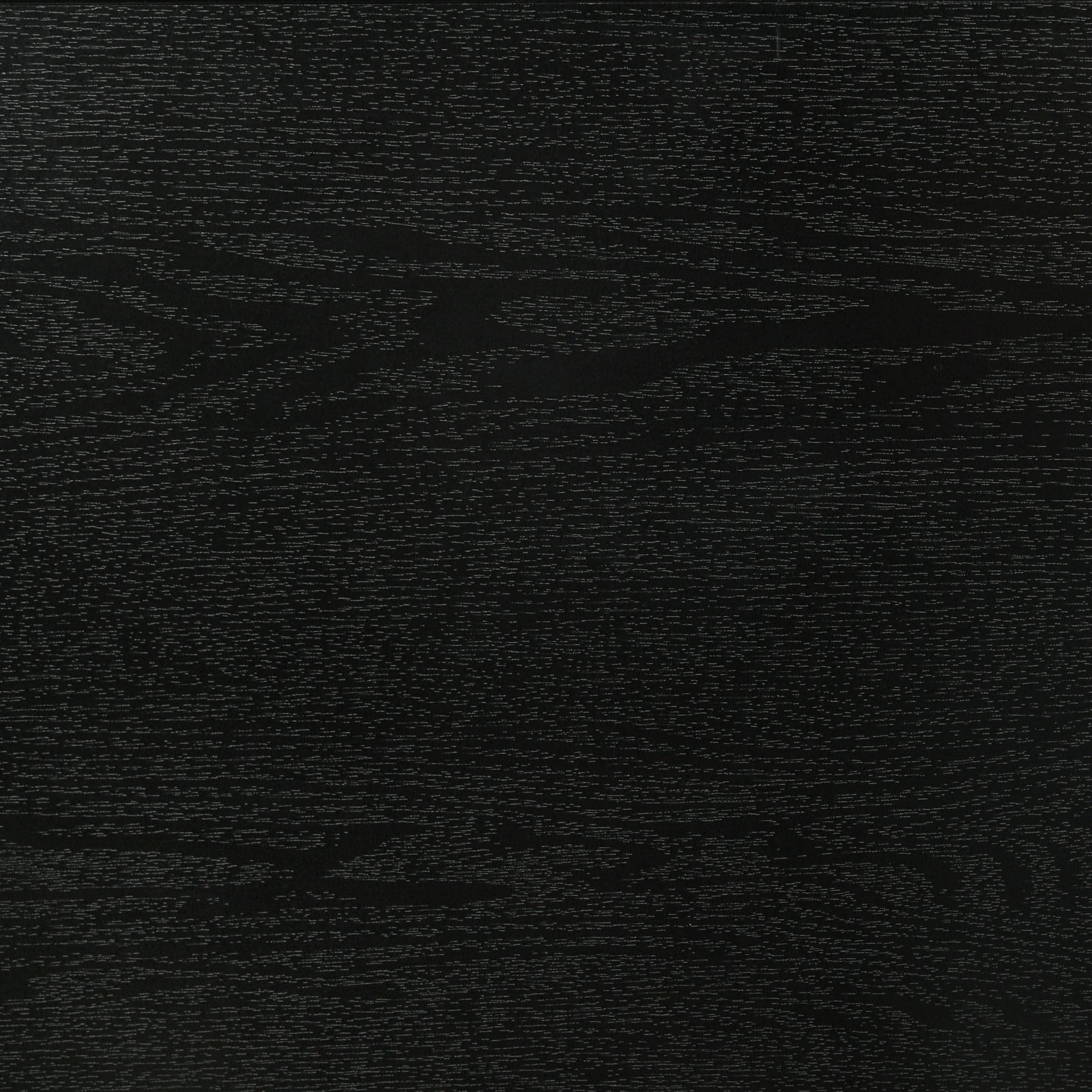 Cama individual tapizada Miranda de 54 pulgadas, color negro
