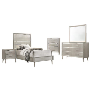 Juego de dormitorio doble Ramon de 5 piezas en color plata metalizada
