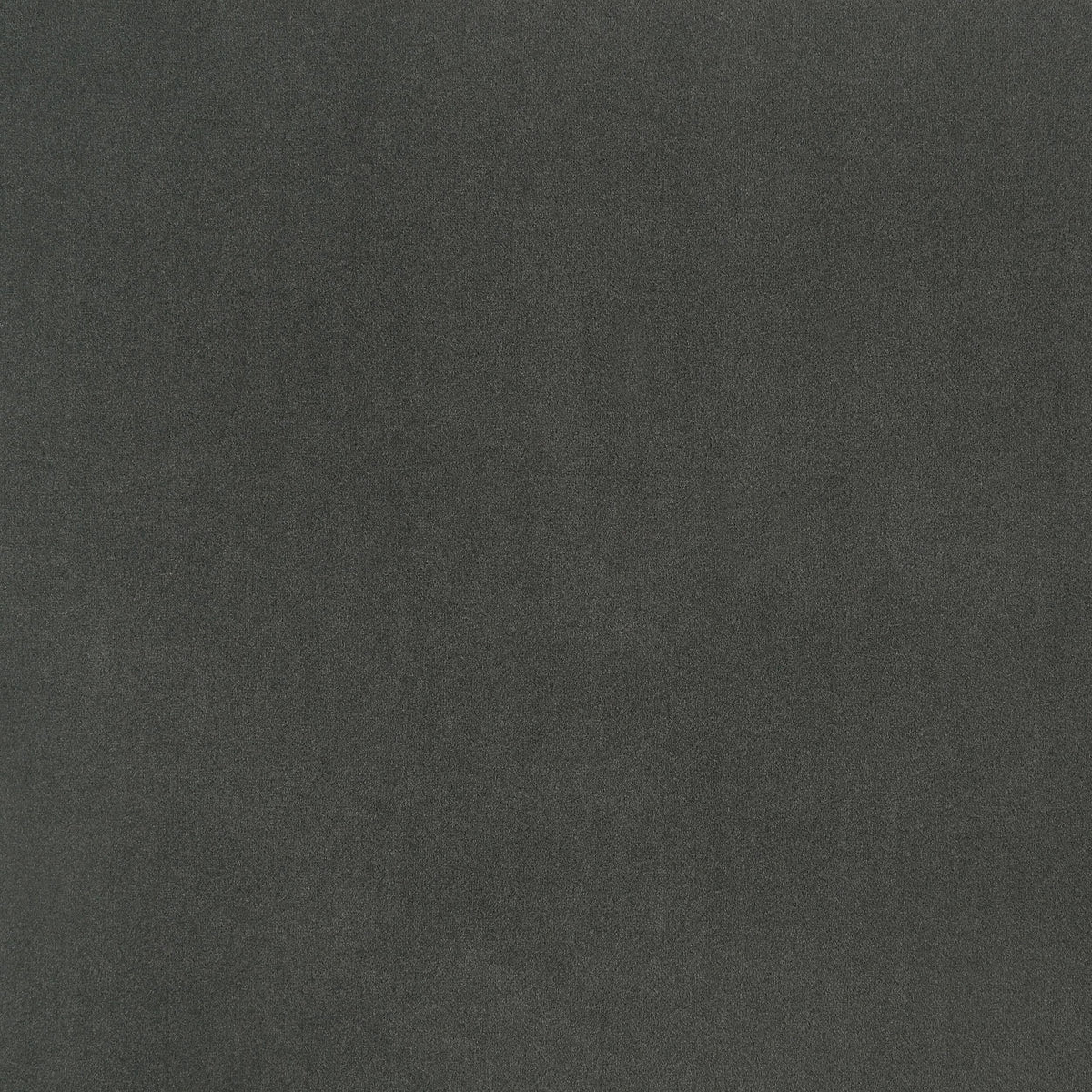 Cama Queen con respaldo de alas tapizada Alderwood, color gris francés