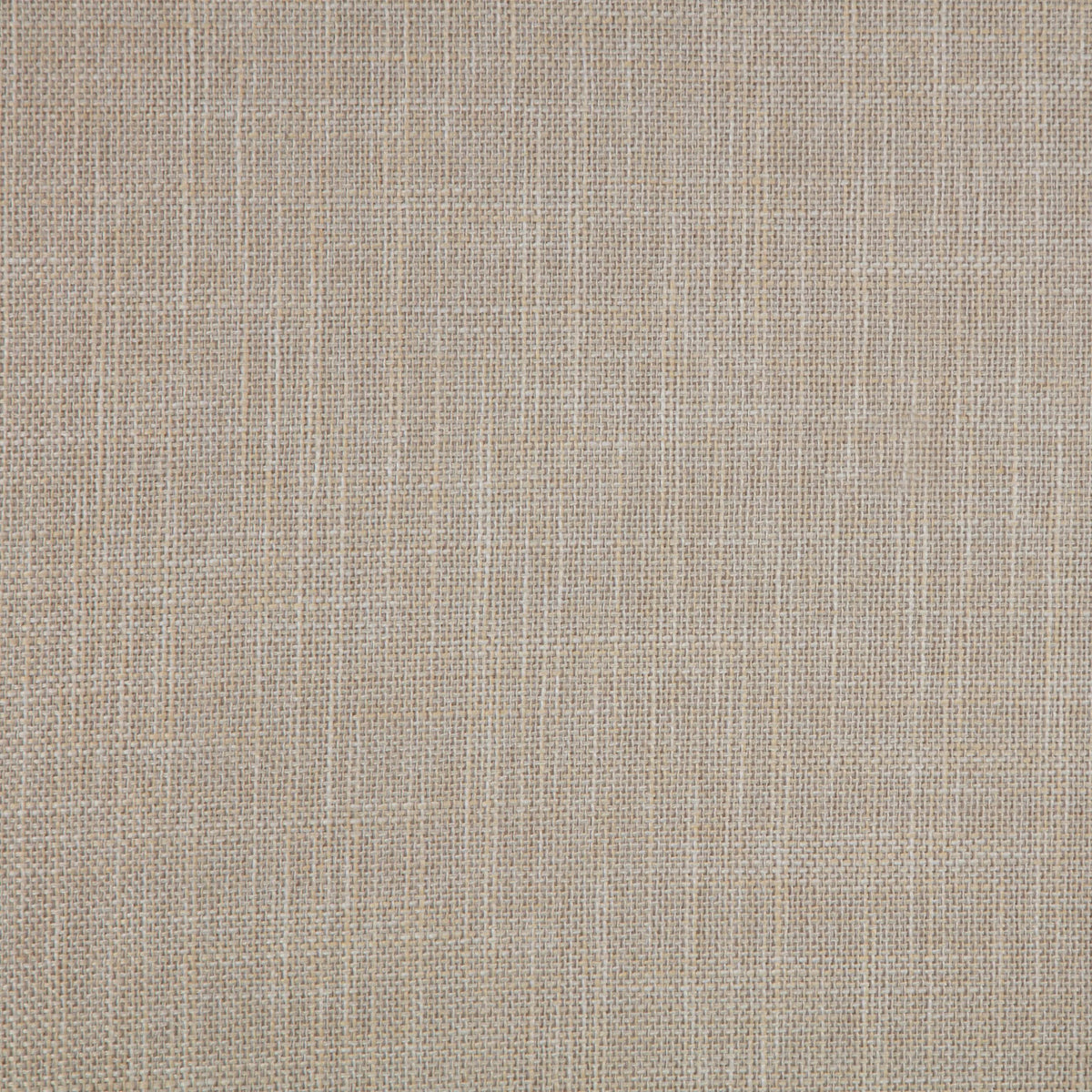 Cama Bexhill tapizada de 56 pulgadas con paneles en color blanco