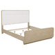 Cama Ladera de 56 pulgadas con paneles estilo Eastern King, color olmo claro