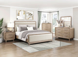 Chest