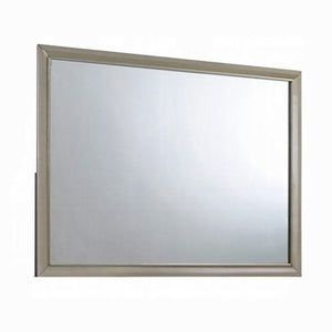 Carine Mirror