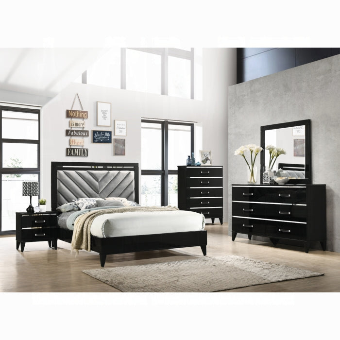 Chelsie Dresser