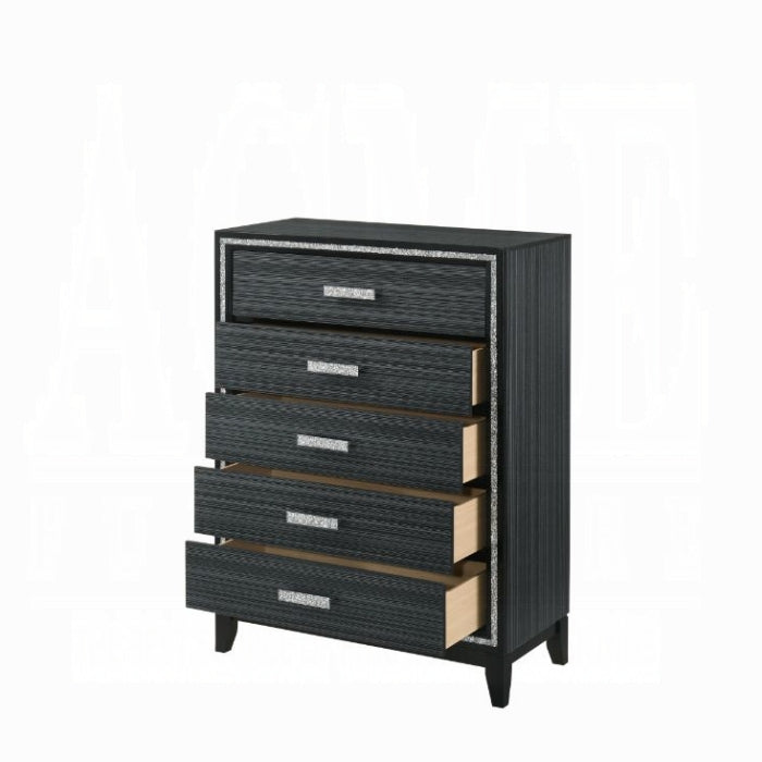 Haiden Chest