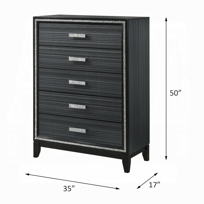 Haiden Chest