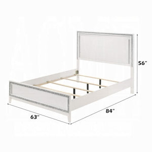Haiden Queen Bed W/Led