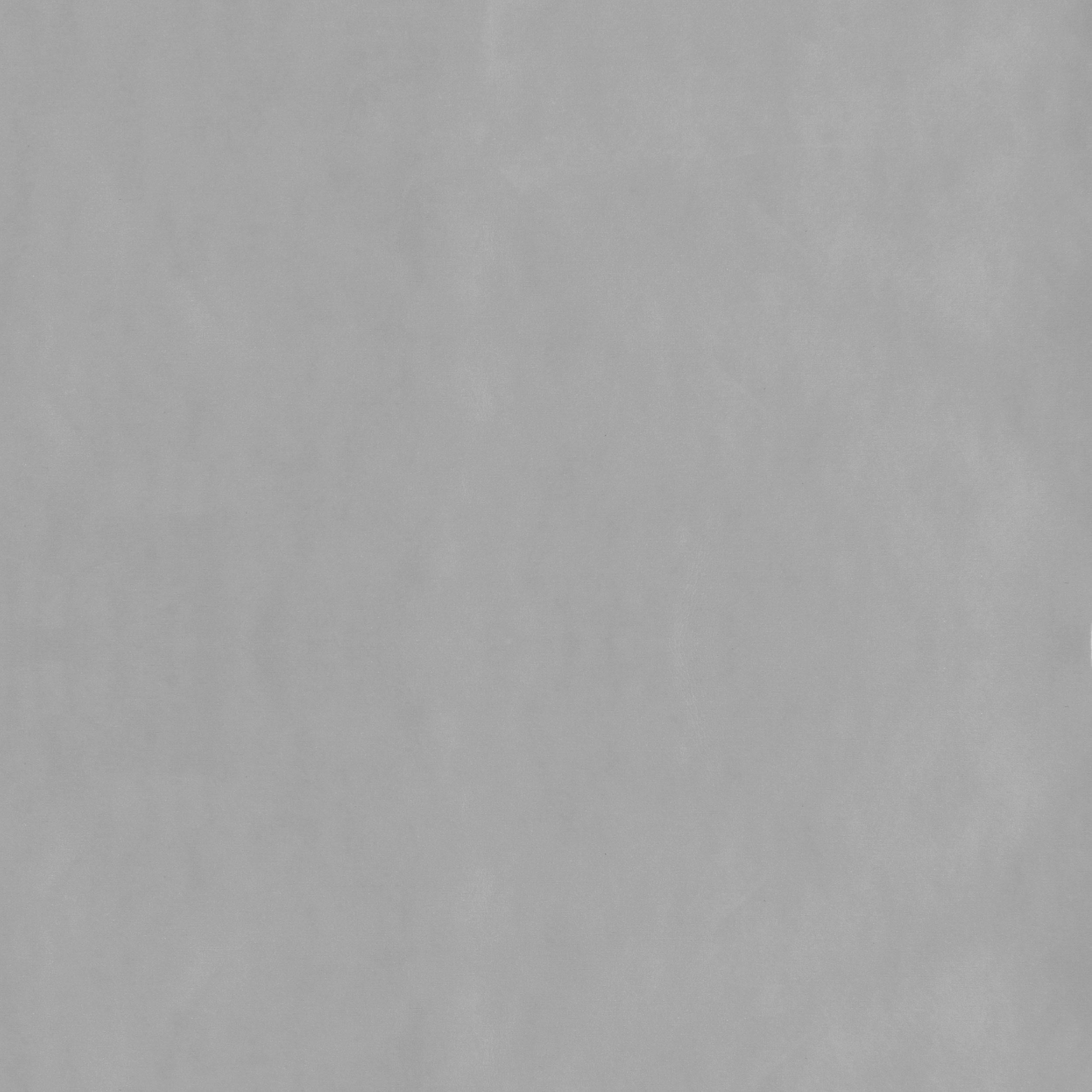 Elmore Upholstered Twin Daybed with Trundle Light Grey