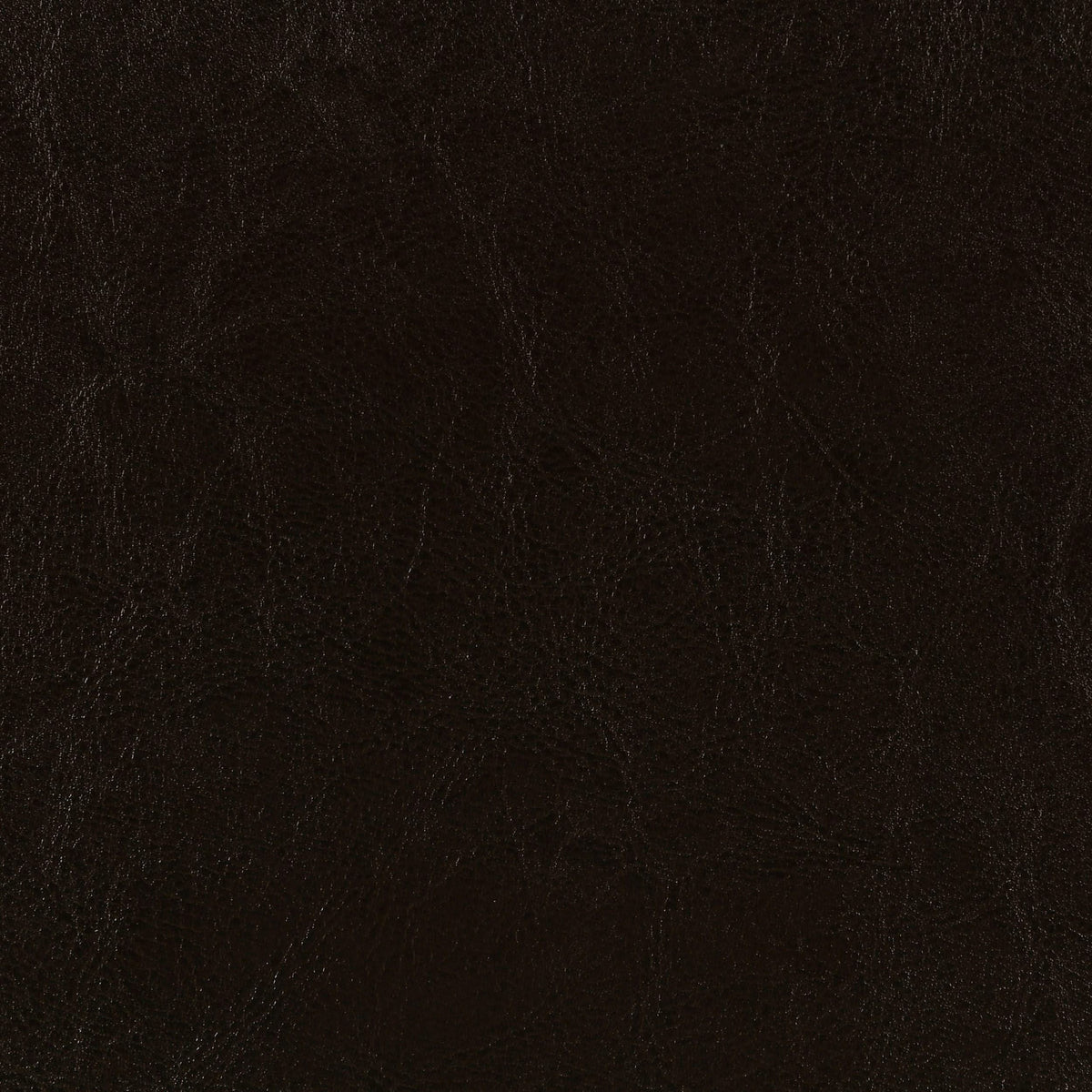Dorian Faux Leather Upholstered Queen Panel Bed Brown
