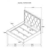 Cama King tapizada Bowfield Eastern con paneles en color carbón