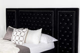 Cama Hailey tapizada Eastern King con paneles de pared, color negro