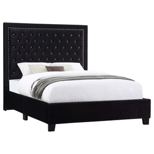 Cama Hailey tapizada con paneles Eastern King en color negro