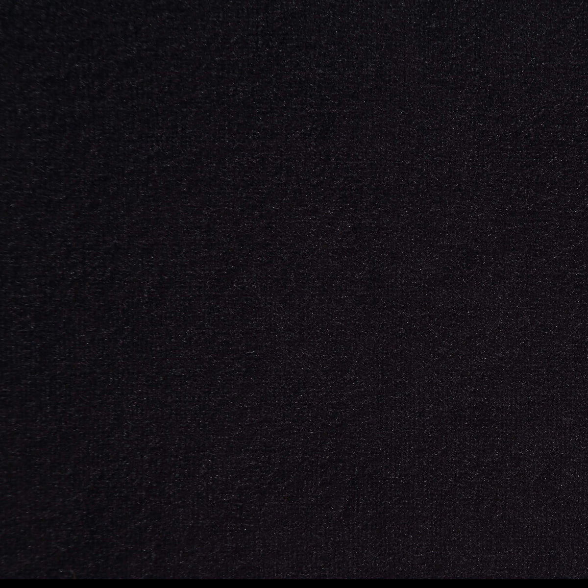 Cama Hailey tapizada con paneles Eastern King en color negro