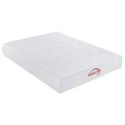 Ian 12" Queen Memory Foam Mattress White
