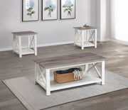 4218SET THELMA 3PK COCKTAIL SET