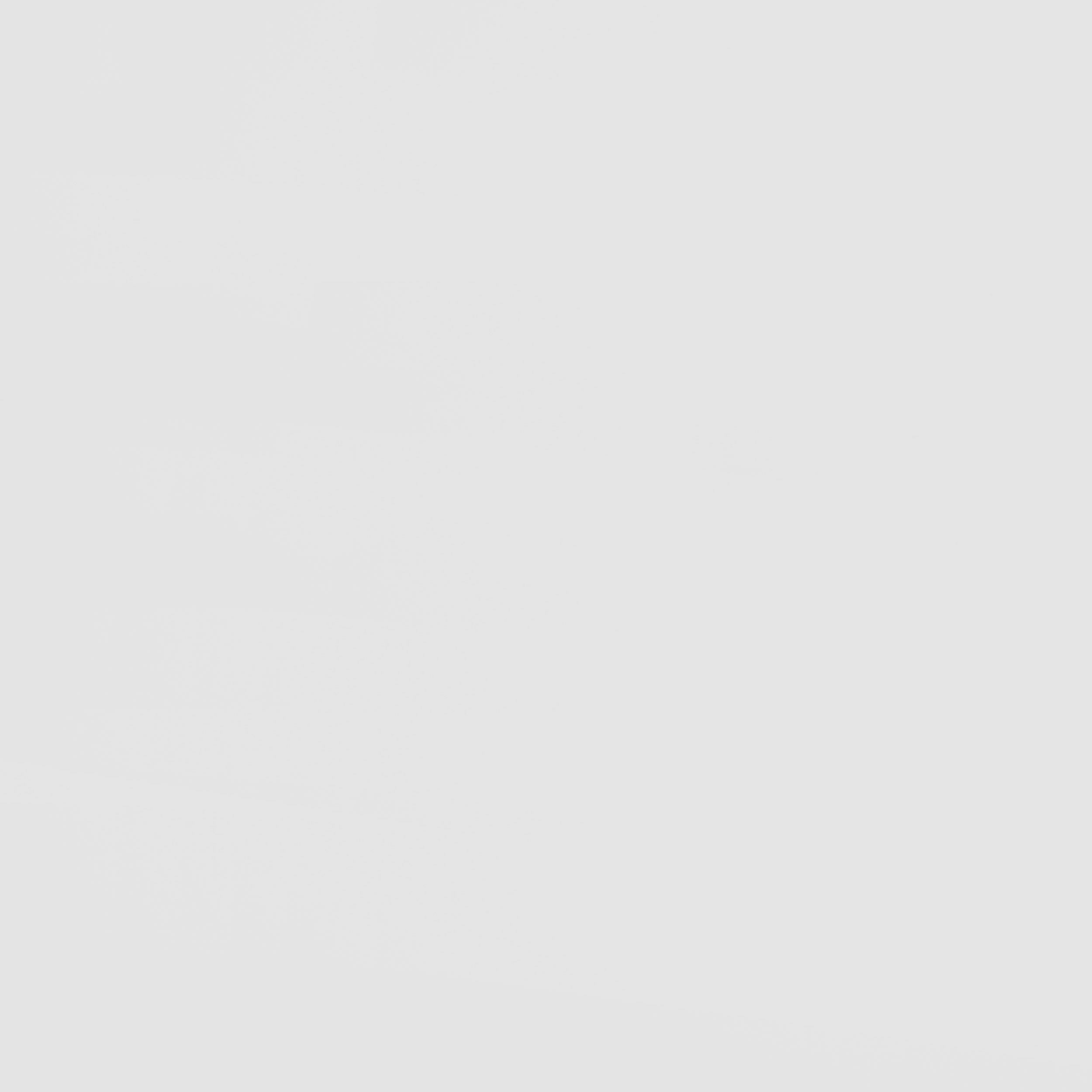 Frankie Wood Twin Over Twin Bunk Bed White and Natural