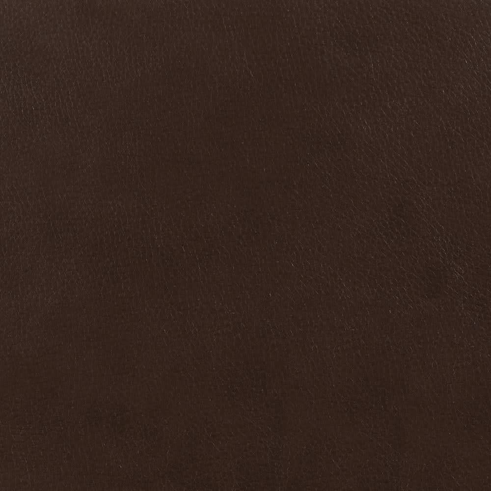 Samuel Upholstered Sleeper Sofa Dark Brown