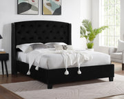 EVA QUEEN HB/FB-BLACK VELVET