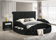 BRIGITTE K/Q STORAGE RL-LEFT BLACK