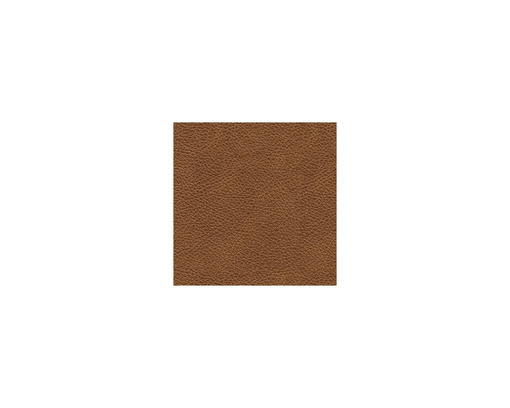 Carianna Loveseat