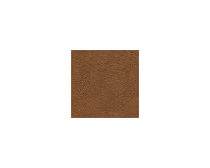 Carianna Loveseat