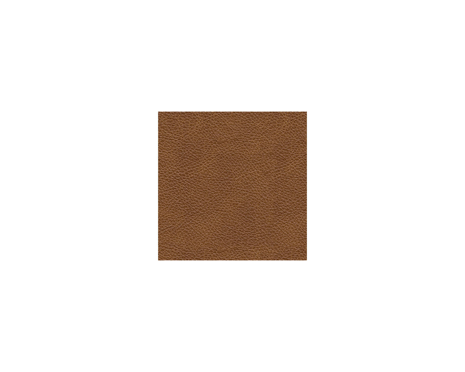 Carianna Queen Sofa Sleeper