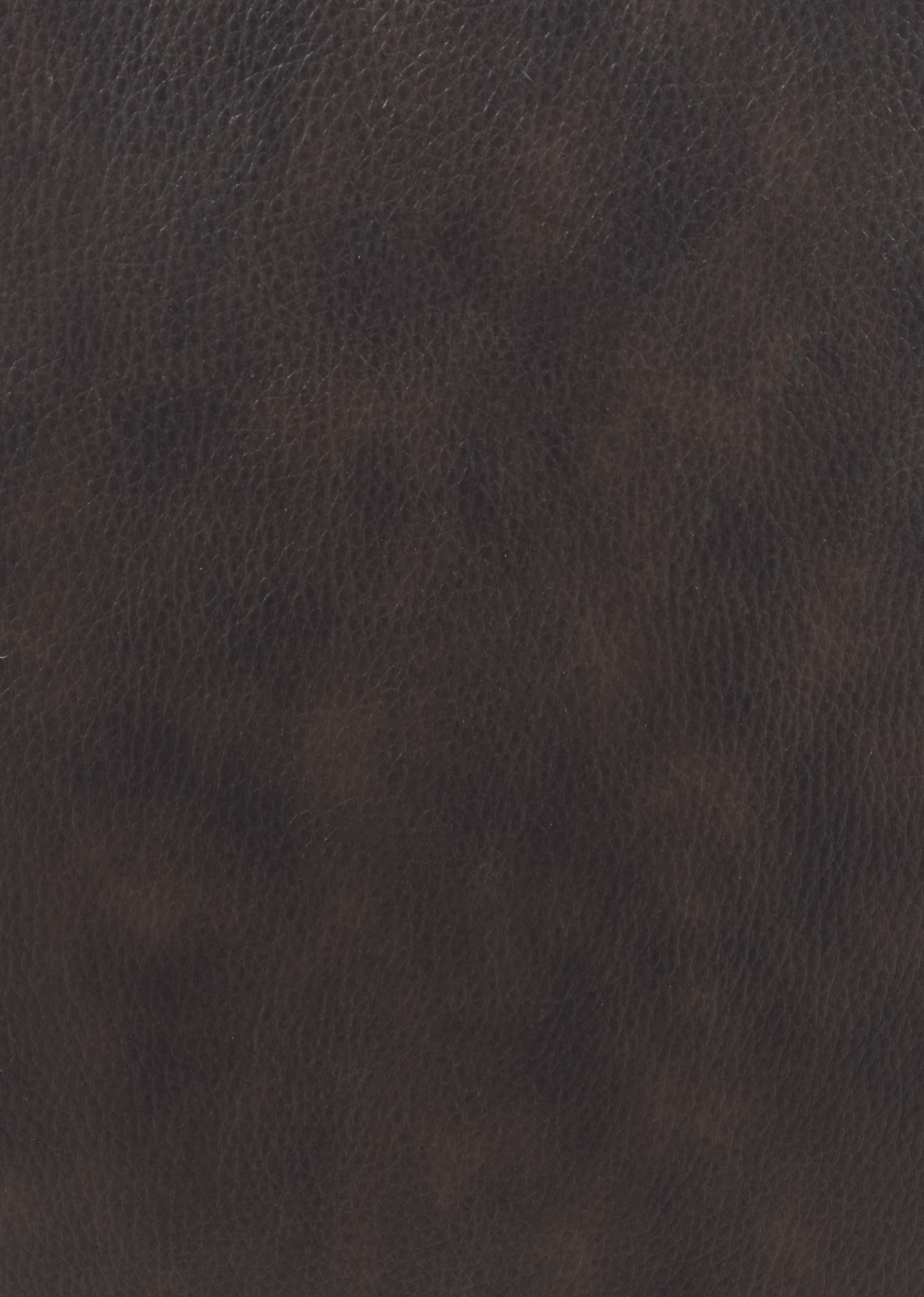 Boston Upholstered Tufted Motion Loveseat Two-tone Brown