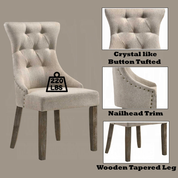 Gabrian Side Chair (Set-2)