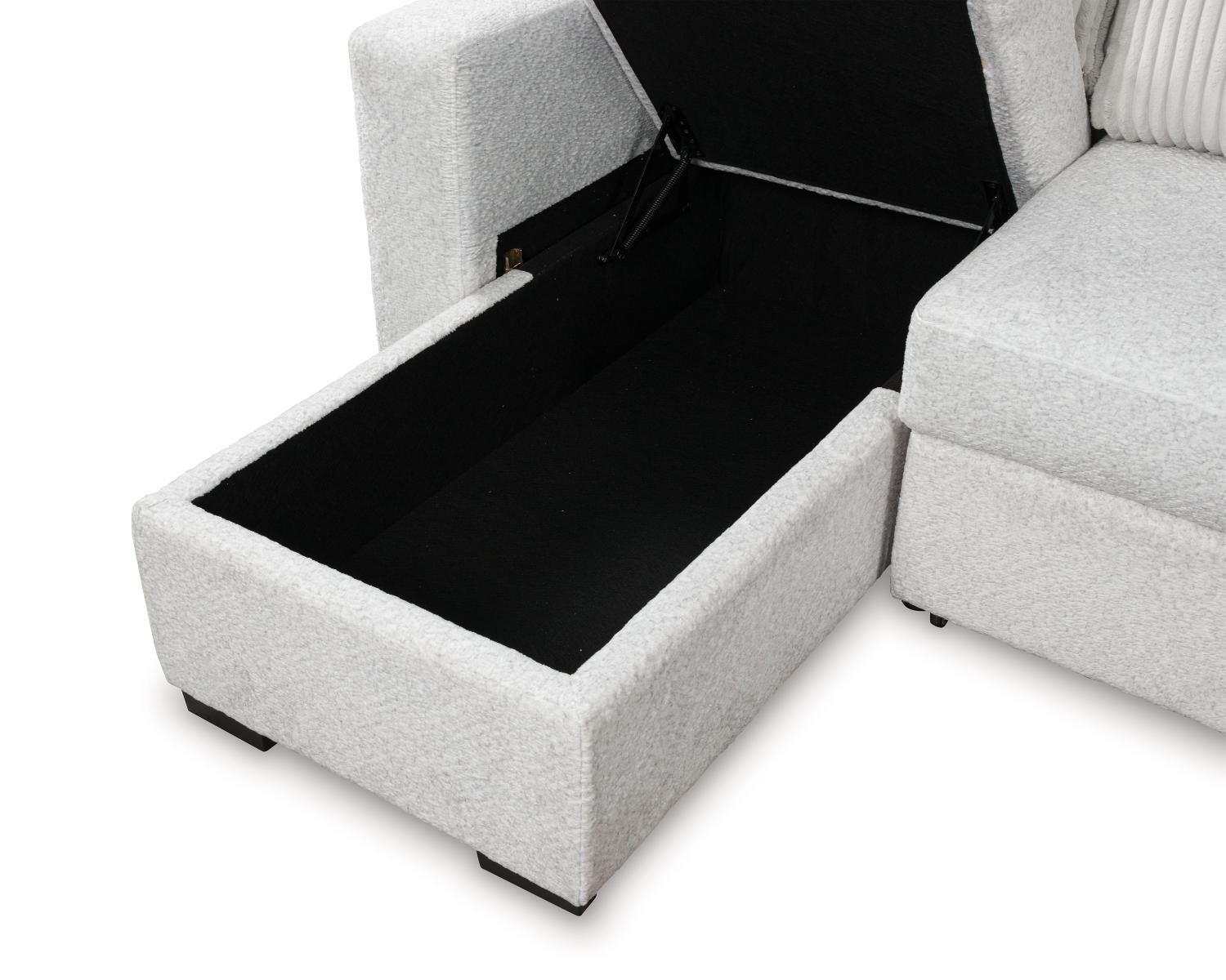 Wohlen 2-Piece Sectional with Pop Up Sleeper and Chaise