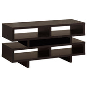 Parker 2-tier Engineered Wood 48" TV Stand Cappuccino