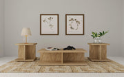 Cortona 3-piece Coffee and End Table Set Mango