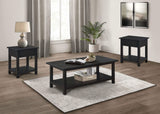 Payne 3-piece Coffee and 1-drawer End Table Set Java