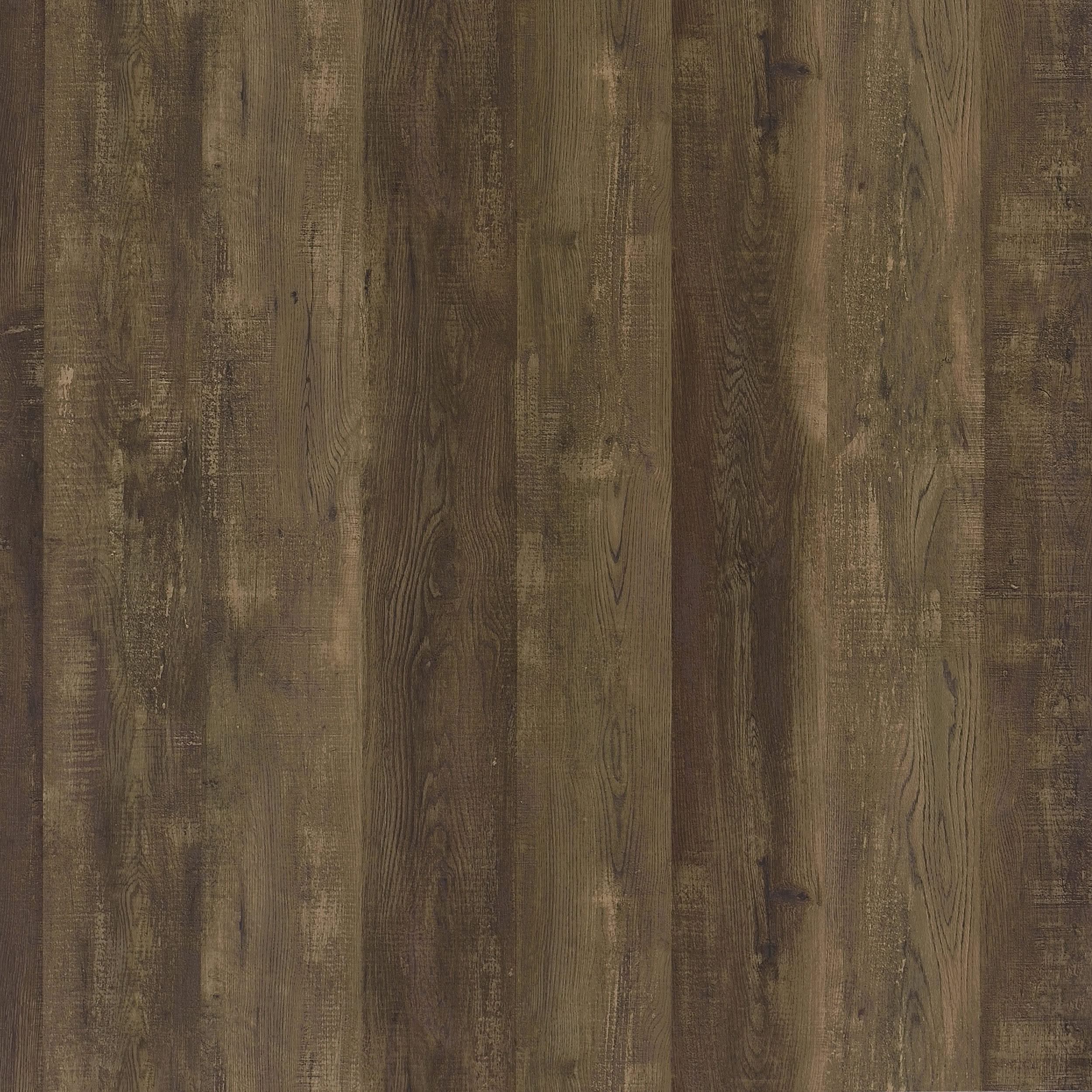 Myles 2-door Engineered Wood 60-inch TV Stand Rustic Oak