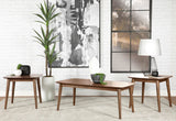 Juego de mesa de centro rectangular Radley de 3 piezas en nogal natural