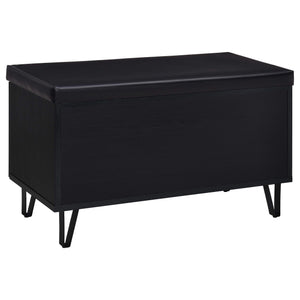 Banco zapatero acolchado de dos puertas para entrada Brixton, color negro