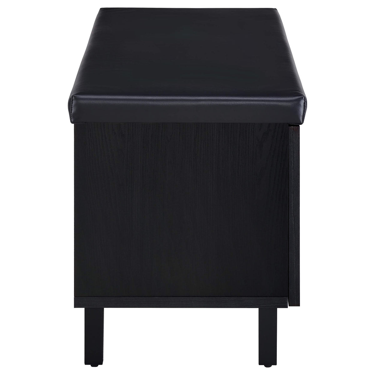 Banco zapatero acolchado de dos puertas para entrada Brixton, color negro