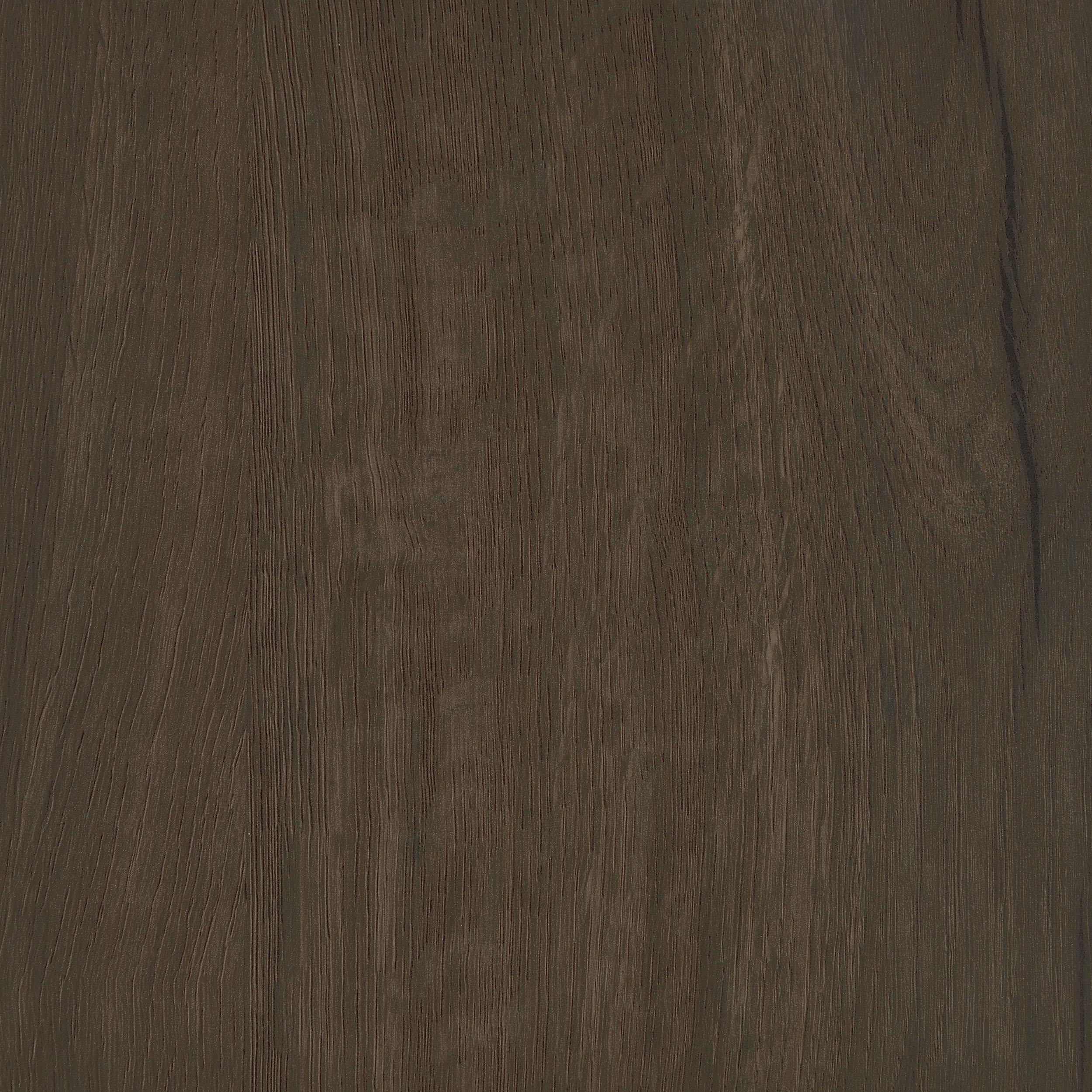 Brixton 2-door Padded Entryway Shoe Storage Bench Smoked Oak