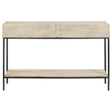 Rubeus 2-drawer Wood Entryway Console Table White Washed
