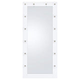 Zayan 32 x 71 Inch Floor Mirror LED Lighting White Gloss