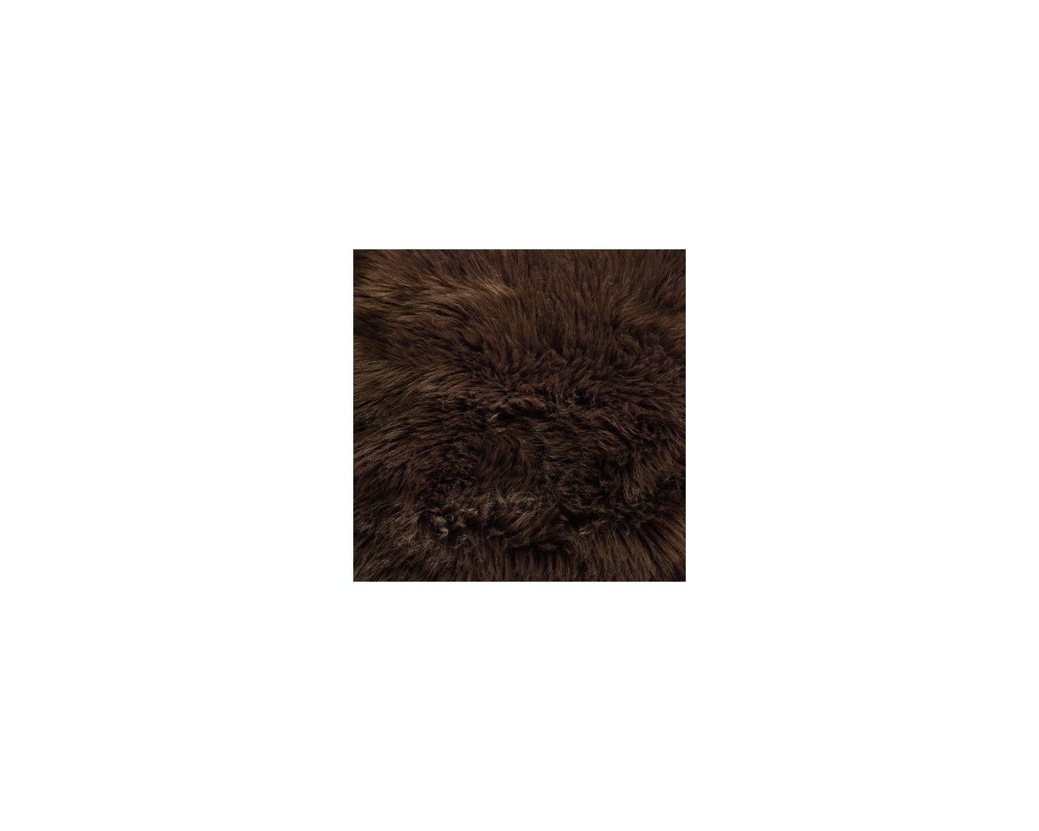 Bellethrone Pillow (Set of 4)