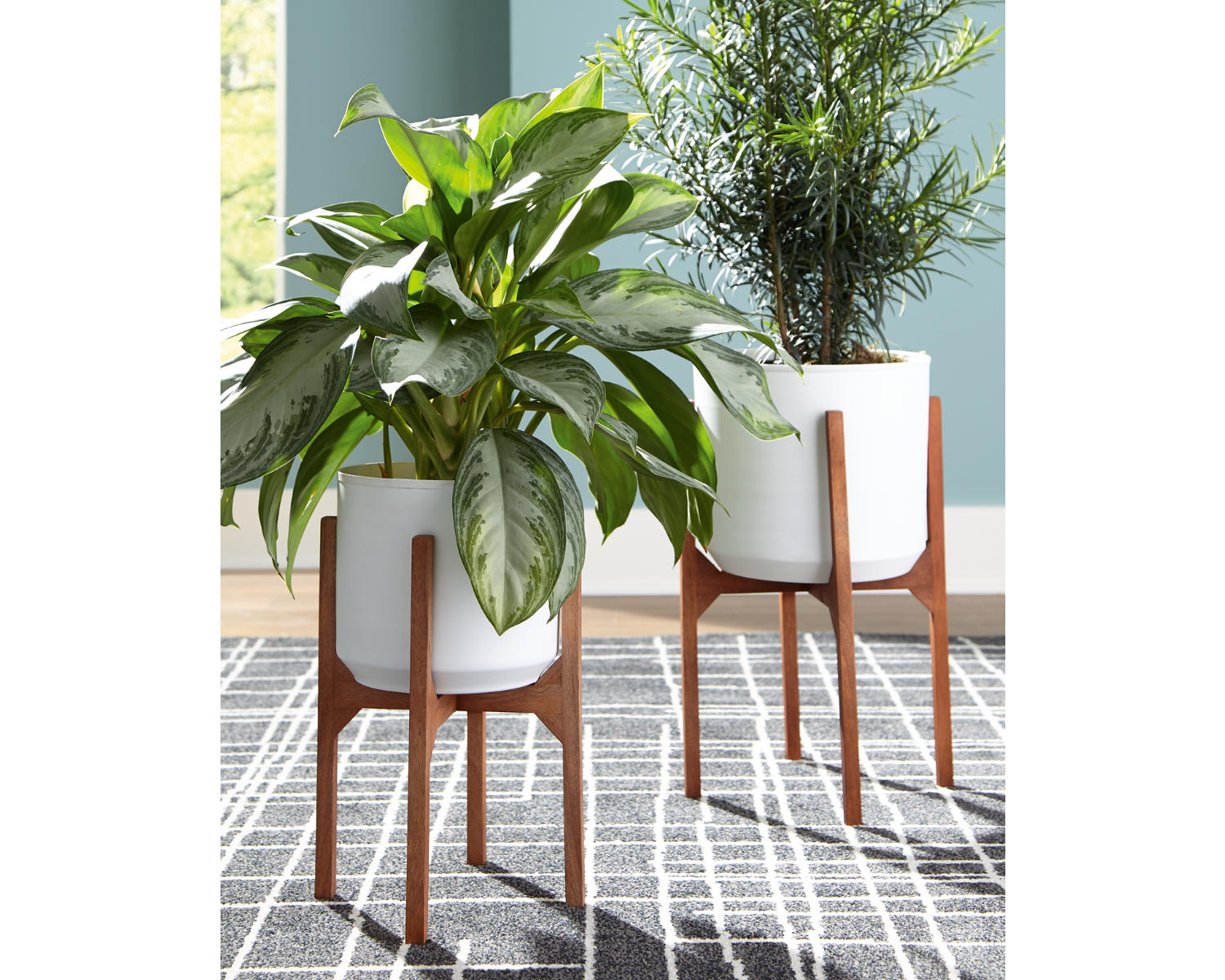 Dorcey Planter (Set of 2)