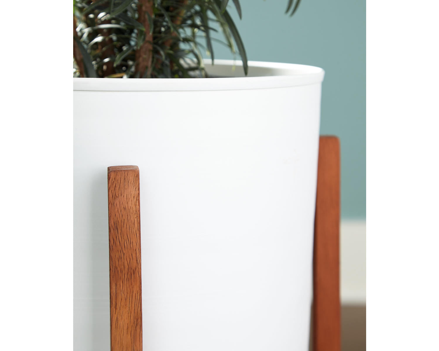 Dorcey Planter (Set of 2)