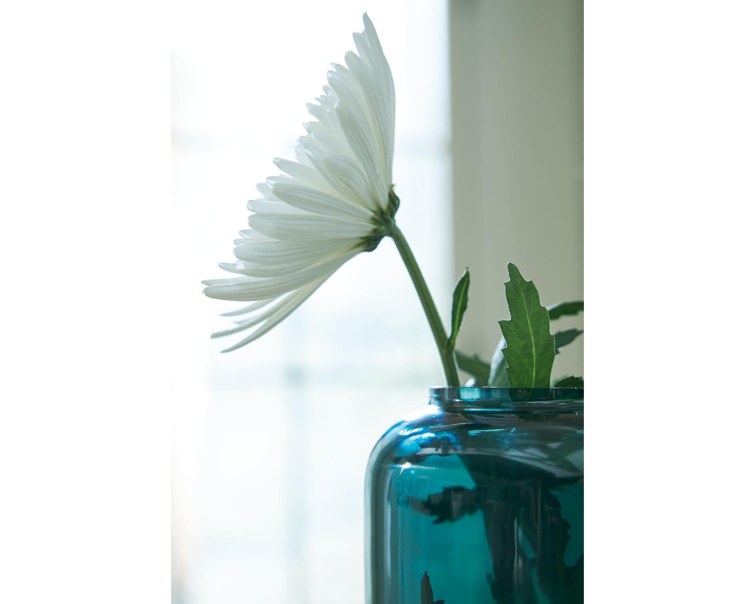 Inisland Vase Set (Set of 2)