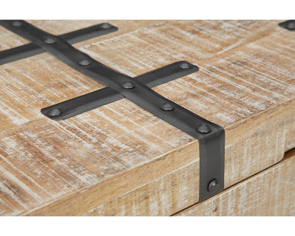 Dartland Storage Trunk